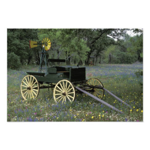 N.A., USA, Texas, Devine, alter Lastwagen und Fotodruck