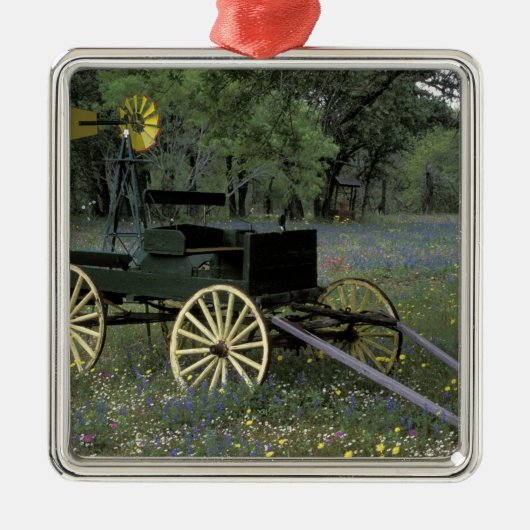 N.A., USA, Texas, Devine, alter Lastwagen und Silbernes Ornament (Vorne)