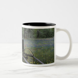 N.A., USA, Texas, Devine, Alter Wagen und Zweifarbige Tasse