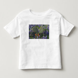 N.A., USA, Texas, Kaktus umgeben von Kleinkind T-shirt