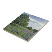 N.A., USA, Texas, Lake Buchanan, Oaks und Blue Fliese (Seite)