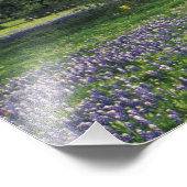 N.A., USA, Texas, Lake Buchanan, Oaks und Blue Fotodruck (Ecke)