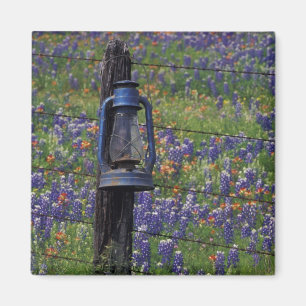 N.A., USA, Texas, Llano, Blaue Laterne und Magnet