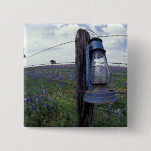 N.A., USA, Texas, Llano, Blauer Laternenpfahl, Eic Button
