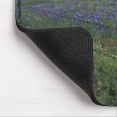 N.A., USA, Texas, Llano, Blue Lantern, Eichenbaum Mousepad (Ecke)