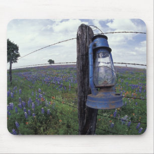 N.A., USA, Texas, Llano, Blue Lantern, Eichenbaum Mousepad