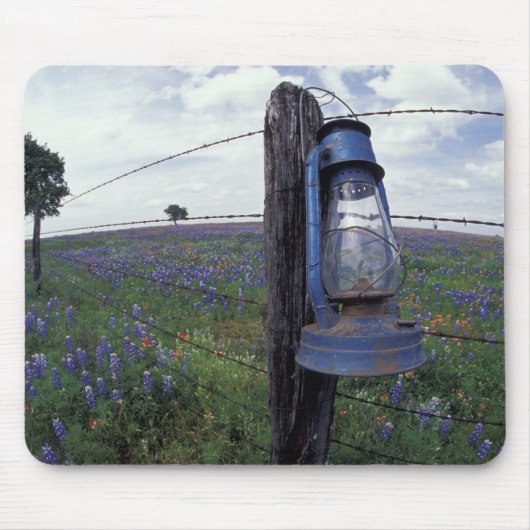 N.A., USA, Texas, Llano, Blue Lantern, Eichenbaum Mousepad (Vorne)