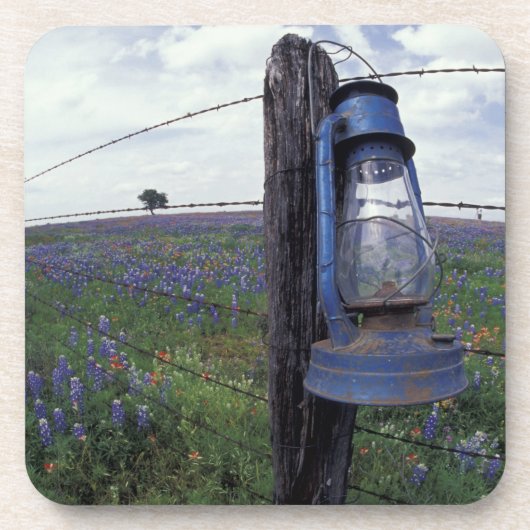 N.A., USA, Texas, Llano, Blue Lantern, Eichenbaum Untersetzer (Vorderseite)