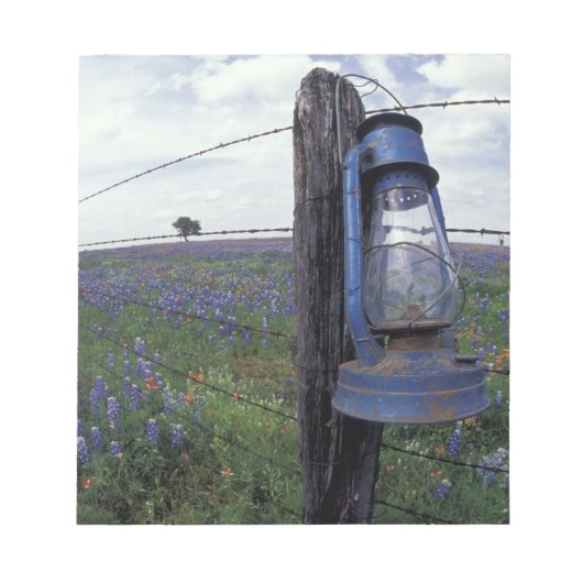 N.A., USA, Texas, Llano, Blue Lantern, Oak tree Notizblock (Vorderseite)