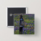N.A., USA, Texas, Llano, Blue Lantern und Button (Vorne & Hinten)
