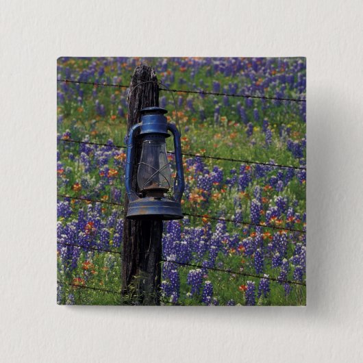 N.A., USA, Texas, Llano, Blue Lantern und Button (Vorderseite)