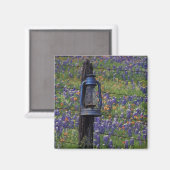 N.A., USA, Texas, Llano, Blue Lantern und Magnet (Vorderseite/Rückseite)