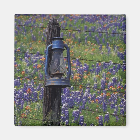 N.A., USA, Texas, Llano, Blue Lantern und Magnet (Vorne)