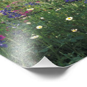 N.A., USA, Texas, Lytle, Zaun und Fotodruck (Ecke)