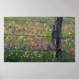 N.A., USA, Texas, Lytle, Zaunposten und Poster