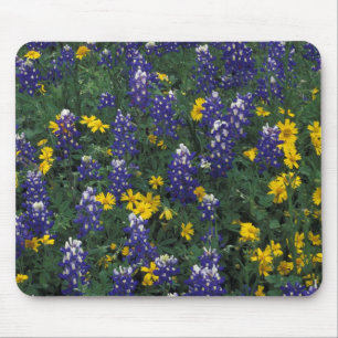 N.A, USA, Texas, Marble Falls, Blaue Bonnets Mousepad
