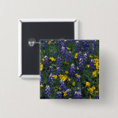 N.A., USA, Texas, Marble Falls, Blue Bonnets Button (Vorne & Hinten)