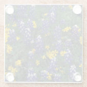 N.A., USA, Texas, Marble Falls, Blue Bonnets Glasuntersetzer (Rückseite)