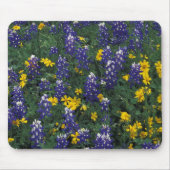 N.A., USA, Texas, Marble Falls, Blue Bonnets Mousepad (Vorne)