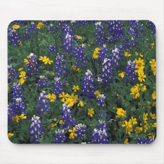 N.A., USA, Texas, Marble Falls, Blue Bonnets Mousepad (Vorne)