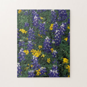 N.A., USA, Texas, Marble Falls, Blue Bonnets Puzzle