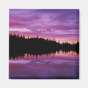 N.A., USA, Washington, Mt. Rainier National 2 Magnet