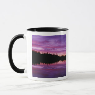 N.A., USA, Washington, Mt. Rainier National 2 Tasse