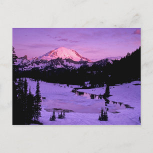 N.A., USA, Washington, Mt. Rainier National 3 Postkarte