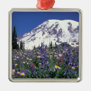 N.A., USA, Washington Mt. Rainier und Ornament Aus Metall
