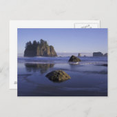 N.A., USA, Washington, Olympic National Park, 3 Postkarte (Vorne/Hinten)