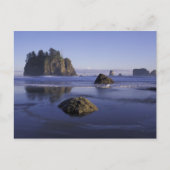 N.A., USA, Washington, Olympic National Park, 3 Postkarte (Vorderseite)