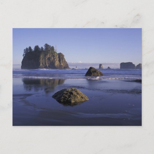 N.A., USA, Washington, Olympic National Park, 3 Postkarte (Vorderseite)
