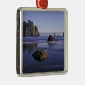 N.A., USA, Washington, Olympic National Park, 3 Silbernes Ornament (Rechts)