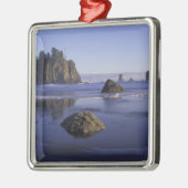 N.A., USA, Washington, Olympic National Park, 3 Silbernes Ornament (Links)