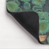 N.A., USA, Washington, Olympic National Park Mousepad (Ecke)