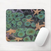 N.A., USA, Washington, Olympic National Park Mousepad (Mit Mouse)