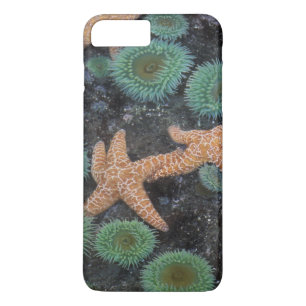 N.A., USA, Washington, Olympic-Nationalpark Case-Mate iPhone Hülle