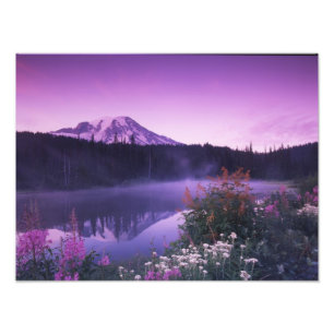 N.A., USA, Washington, Rainier National 2 Fotodruck