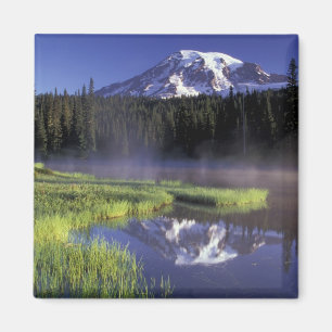 N.A., USA, Washington, Rainier National 5 Magnet