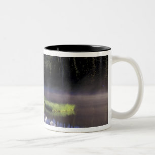 N.A., USA, Washington, Rainier National 5 Zweifarbige Tasse