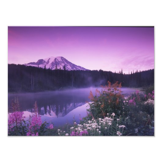 N.A., USA, Washington, Rainier National Fotodruck (Vorne)