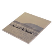 N.A., USA, Washington, San Juan Islands Orca Fliese (Seite)