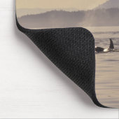 N.A., USA, Washington, San Juan Islands Orca Mousepad (Ecke)