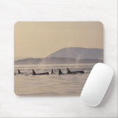 N.A., USA, Washington, San Juan Islands Orca Mousepad (Mit Mouse)