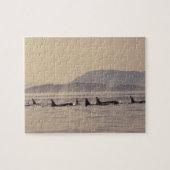 N.A., USA, Washington, San Juan Islands Orca Puzzle (Horizontal)