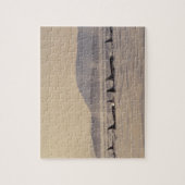 N.A., USA, Washington, San Juan Islands Orca Puzzle (Vertikal)