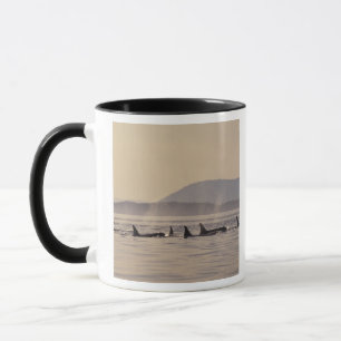 N.A., USA, Washington, San Juan Islands Orca Tasse