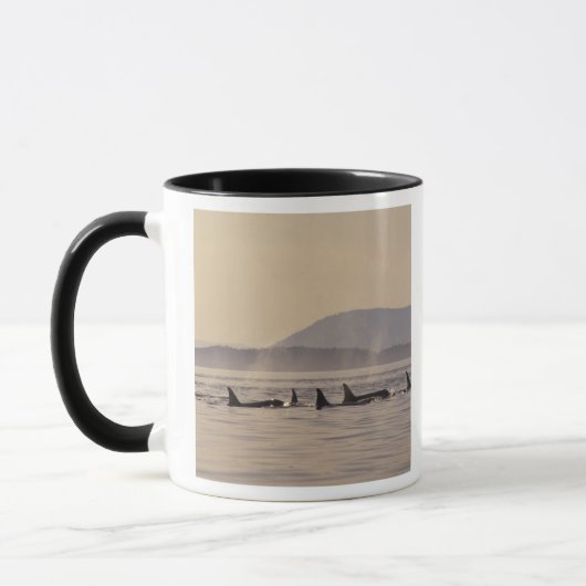 N.A., USA, Washington, San Juan Islands Orca Tasse (Links)