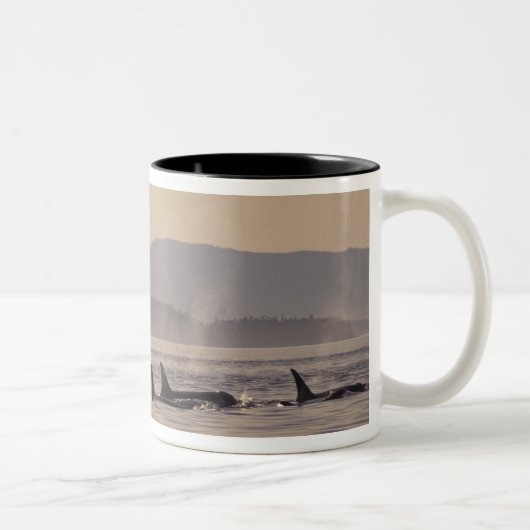N.A., USA, Washington, San Juan Islands Orca Zweifarbige Tasse (Rechts)