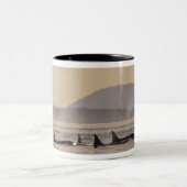 N.A., USA, Washington, San Juan Islands Orca Zweifarbige Tasse (Mittel)
